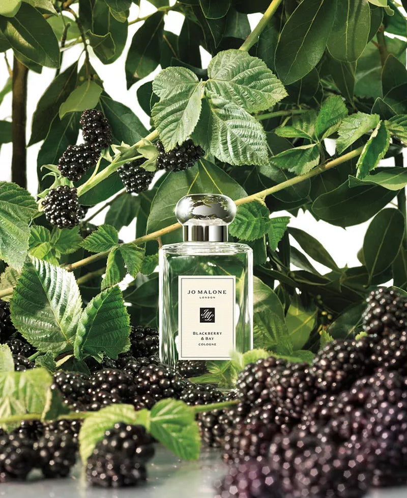 Blackberry & Bay Cologne, 3.4-Oz.-BT8D