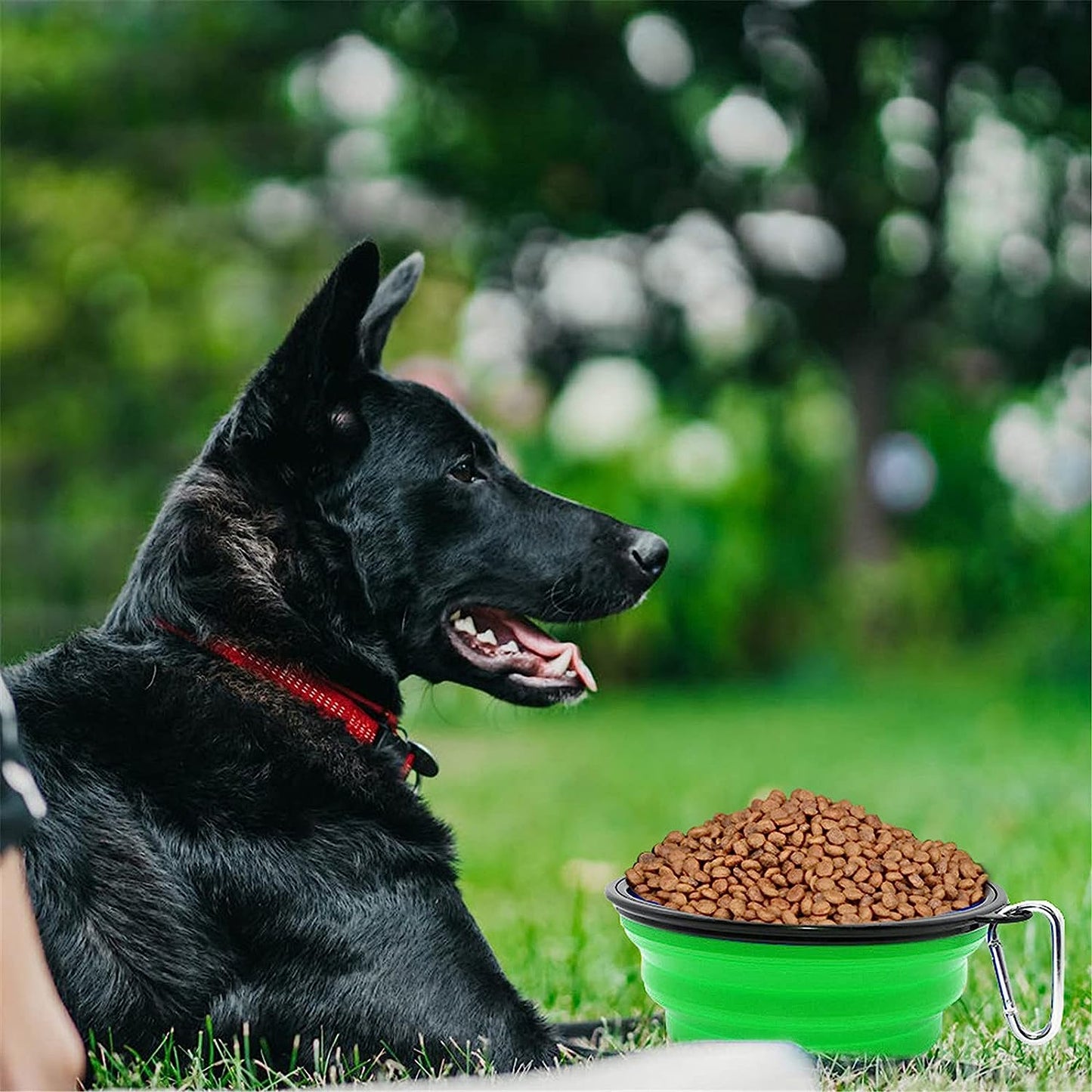 Collapsible Dog Bowl Portable Foldable Dog Travel Bowls Pets Cats Puppies Water Feeding Bowls for Walking Camping Outdoors (Large, Green)-BT8D