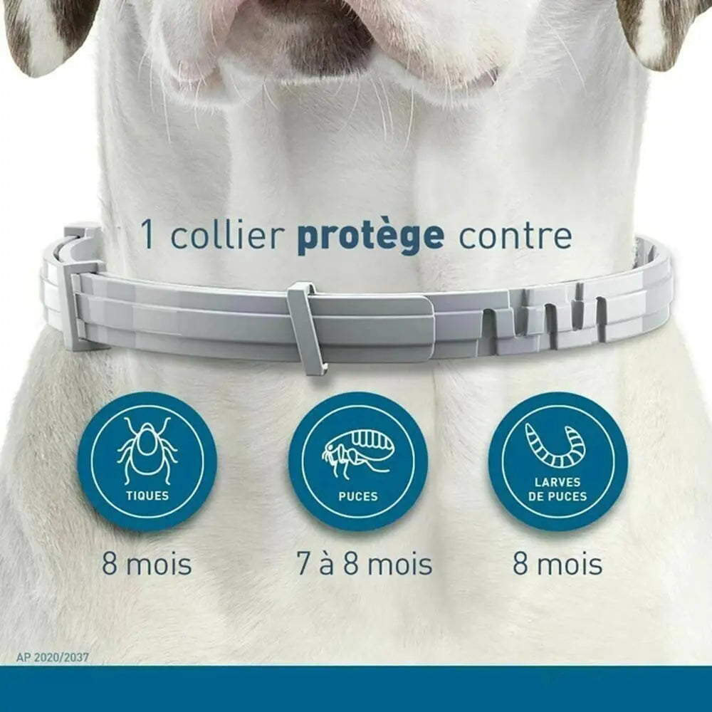 Anti-parasitic Adjustable Dog Collar-BT8D