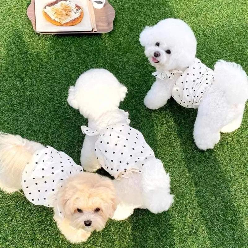 Cute Pet Dog Dress Dot Dog Summer Clothes Puppy Skirt Chihuahua Bichon French Bulldog Clothing Thin Girl Dog Costume Cat Dresses-BT8D