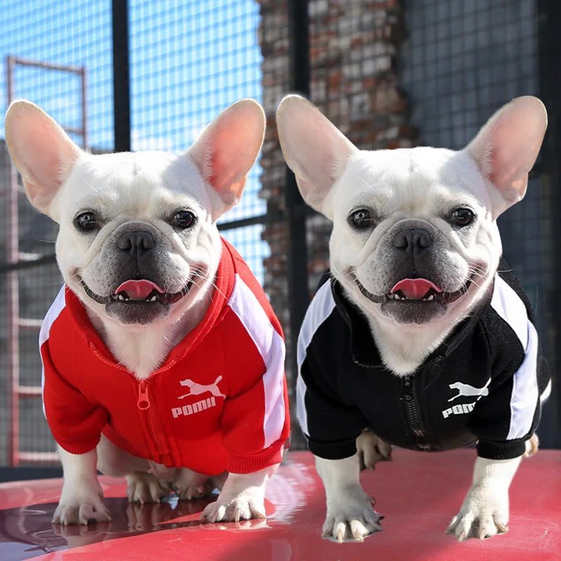 Baseball Dog Jacket Winter Dog Clothes for Small Medium Dogs Puppy Pet Vest French Bulldog Sweatshirt Chihuahua Costume Pug Coat-BT8D