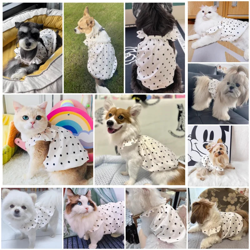 Cute Pet Dog Dress Dot Dog Summer Clothes Puppy Skirt Chihuahua Bichon French Bulldog Clothing Thin Girl Dog Costume Cat Dresses-BT8D