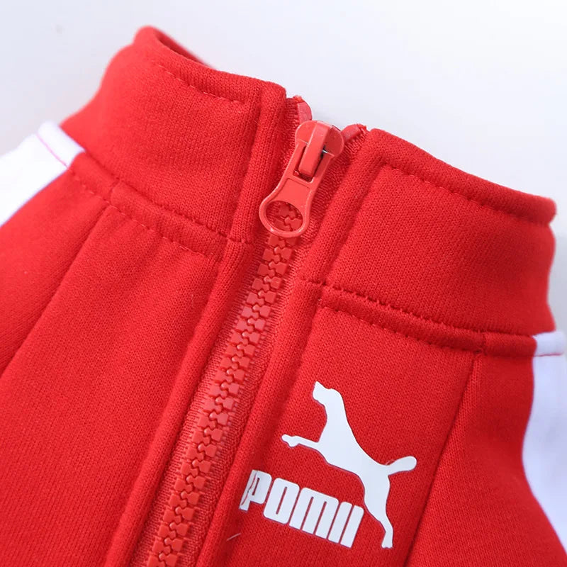 Baseball Dog Jacket Winter Dog Clothes for Small Medium Dogs Puppy Pet Vest French Bulldog Sweatshirt Chihuahua Costume Pug Coat-BT8D
