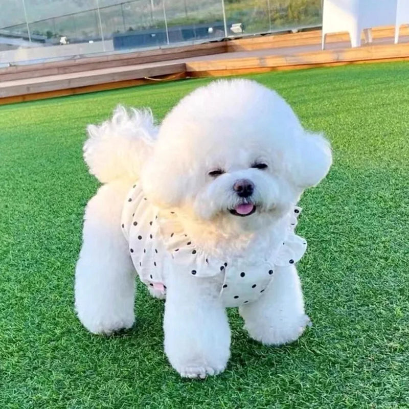 Cute Pet Dog Dress Dot Dog Summer Clothes Puppy Skirt Chihuahua Bichon French Bulldog Clothing Thin Girl Dog Costume Cat Dresses-BT8D