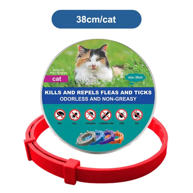 Anti-parasitic Adjustable Dog Collar-BT8D