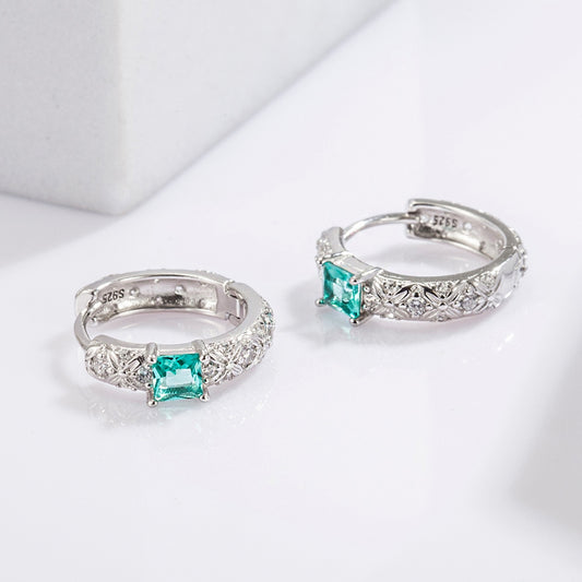925 Sterling Silver Inlaid Zircon Earrings-BT8D