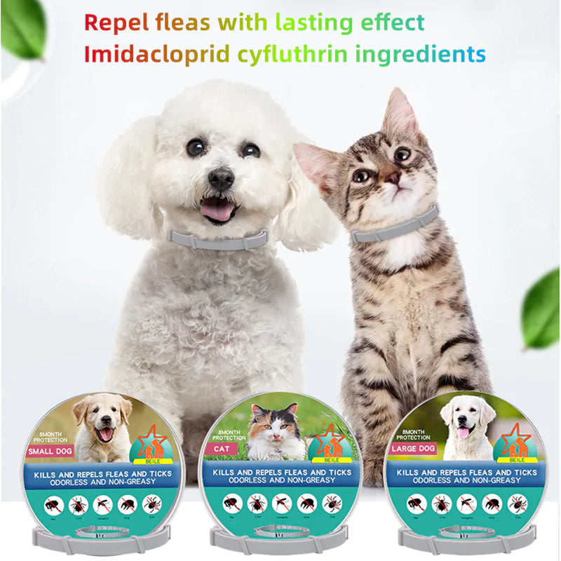 Anti-Flea Pet Necklace-BT8D