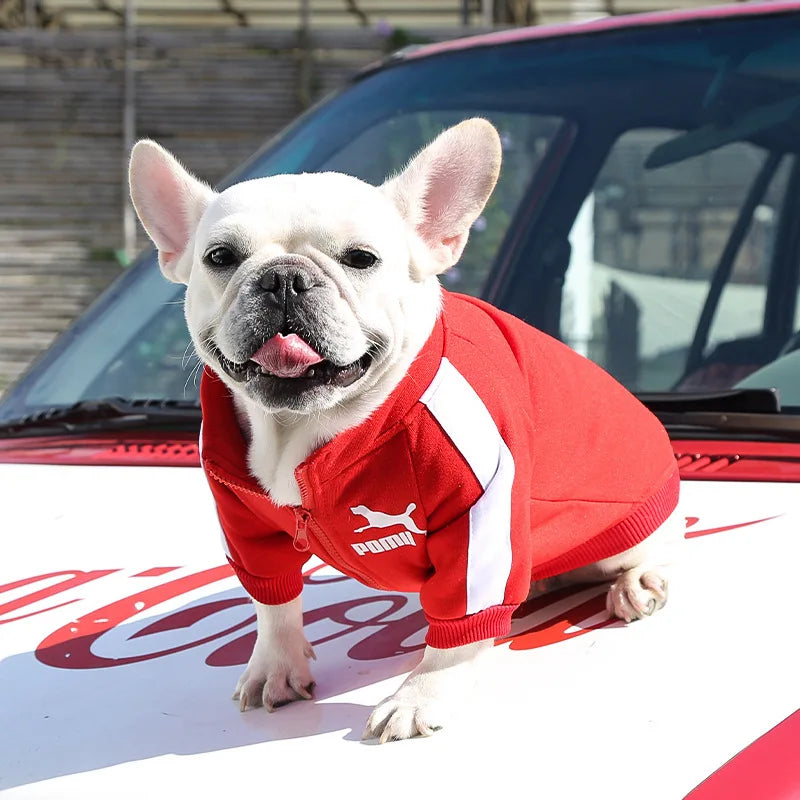 Baseball Dog Jacket Winter Dog Clothes for Small Medium Dogs Puppy Pet Vest French Bulldog Sweatshirt Chihuahua Costume Pug Coat-BT8D