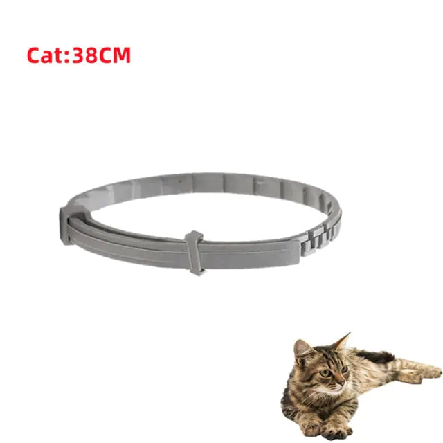 Anti-parasitic Adjustable Dog Collar-BT8D