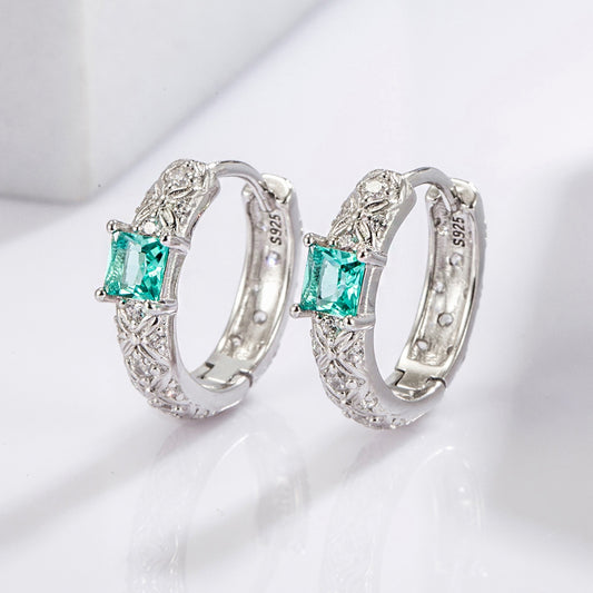 925 Sterling Silver Inlaid Zircon Earrings-BT8D