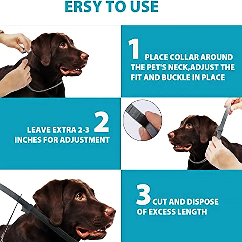 Anti-Flea Pet Necklace-BT8D